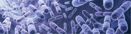 Prebiotics,-Probiotics,-Postbiotics-White-Paper